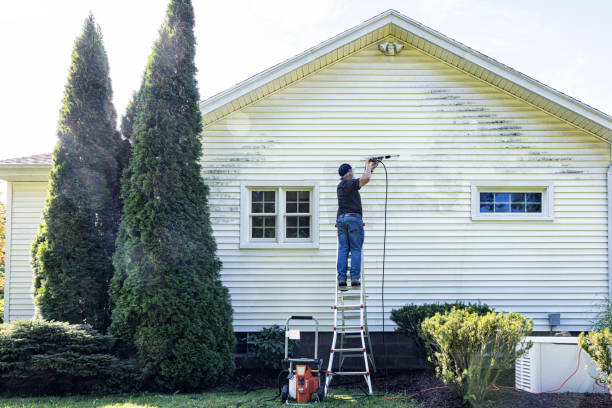 Best Driveway Pressure Washing  in Springfield, MO